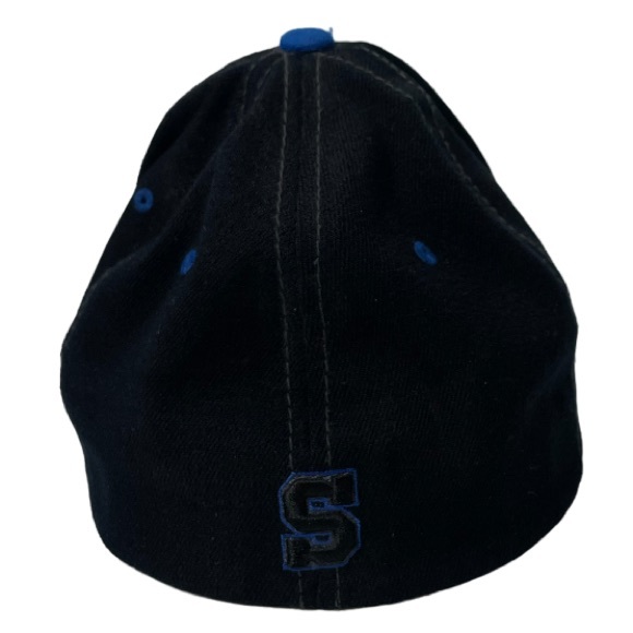 Penn State Nittany Lion Embroidered Baseball Cap Sports Team Collectors Ball Cap - Picture 8 of 11